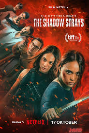 หนังเรื่อง The Shadow Strays นักฆ่าเงาล่าทรชน (2024) NETFLIX